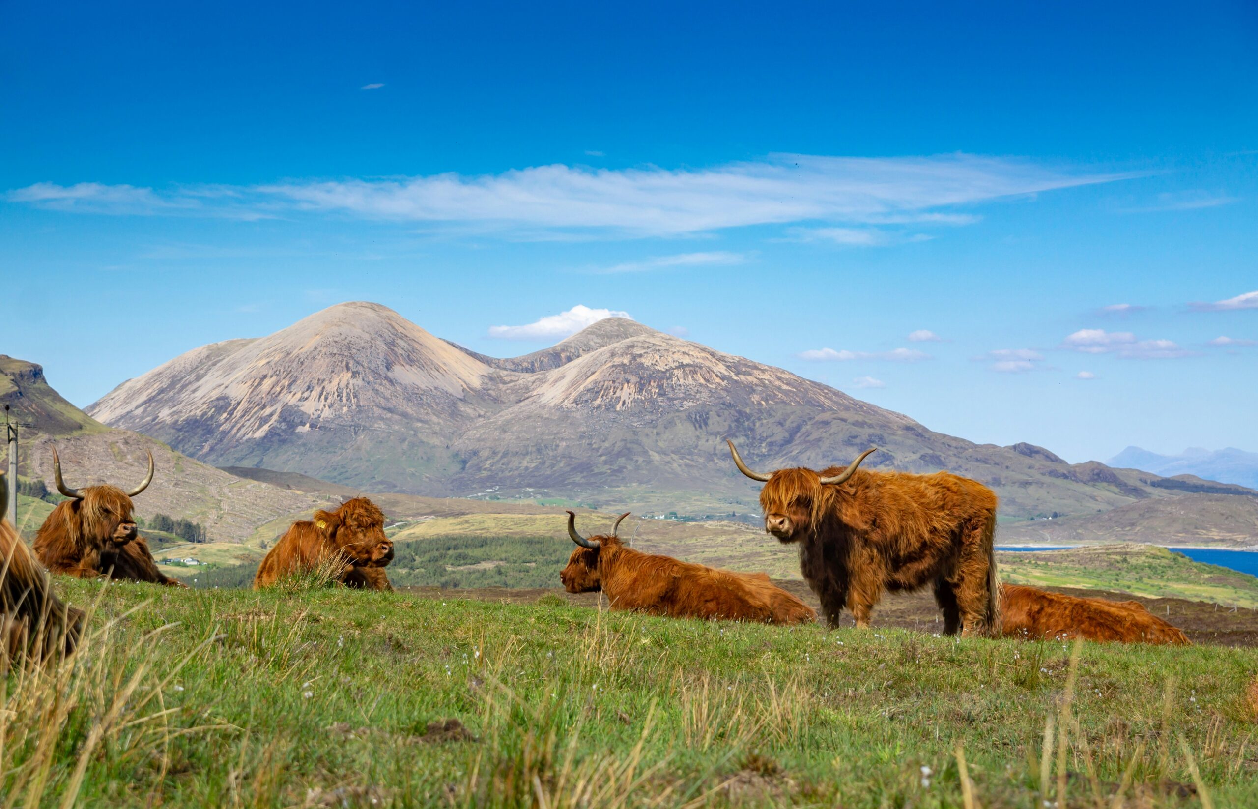 A Journey Through the Scottish Highlands: Rugged Beauty, Warm Welcomes, and Timeless Adventure